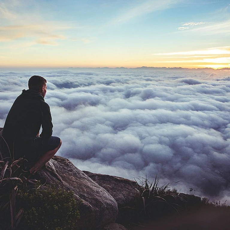 Understanding the IPPSA HR Professional Exam: A Comprehensive Guide